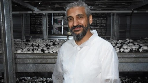 Devlet desteğiyle kurduğu tesiste ayda ortalama 15 ton mantar üretiyor