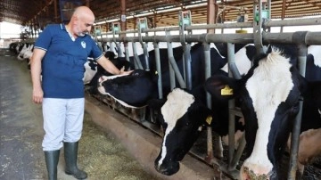 Devlet desteğiyle tesis kuran çiftçi, günlük 6 ton süt üretiyor