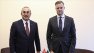 Dışişleri Bakanı Çavuşoğlu, Litvanya&#039;da bazı mevkidaşlarıyla görüştü