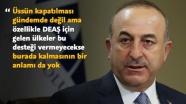 Dışişleri Bakanı Çavuşoğlu'ndan İncirlik Üssü açıklaması