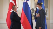 Dışişleri Bakanı Çavuşoğlu, Slovenya Cumhurbaşkanı Pahor tarafından kabul edildi