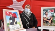 Diyarbakır annelerinden Çifçi: Canımızı istiyoruz