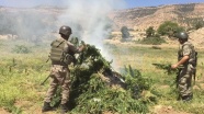 Diyarbakır'da 'Bayrak-58 Şehit Jandarma Binbaşı Ümit Çelik' operasyonu