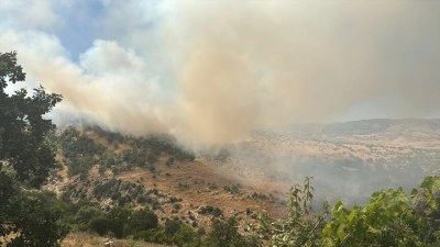 Diyarbakır'da &ccedil;ıkan orman yangınına m&uuml;dahale ediliyor