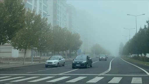 Diyarbakır'da sis etkili oldu