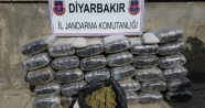 Diyarbakır'da terör örgütüne darbe: Tam 574 kilogram esrar ele geçirildi