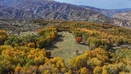 Diyarbakır'ın Kulp ilçesindeki sonbahar renkleri dronla görüntülendi