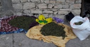 Diyarbakır Lice’de narkotik terörüne büyük darbe