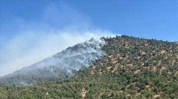 Diyarbakır'ın Çınar ilçesinde çıkan yangına müdahale ediliyor