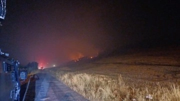 Diyarbakır'ın Lice ilçesinde çıkan orman yangınına müdahale ediliyor