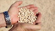 Diyarbakırlı çiftçiye 51 ton ücretsiz sertifikalı tohum