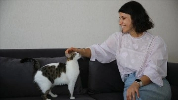 Diyarbakırlı öğretmen sahiplendiği 3'ü engelli 8 kediye şefkatle bakıyor