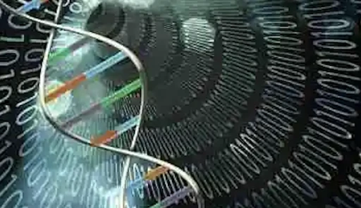 DNA&rsquo;nın piksel tabanlı modellenmesi: &Ccedil;ok boyutlu genetik bilgi işleme &uuml;zerine yeni bir yaklaşım -&Ouml;z&rsquo;&uuml;n İfadesi yazdı-