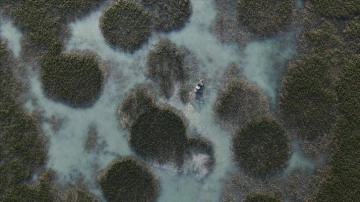 Doğa harikası Dilkaya Deltası kano tutkunlarını ağırlıyor