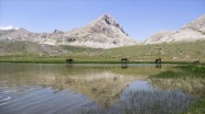 Doğa tutkunlarının uğrak adresi: Kepır Gölü