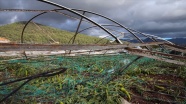 Doğal afetlerden zarar gören çiftçiye 780 milyon liralık tazminat ödenecek