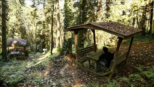 Doğal güzellikleriyle ünlü Giresun'un Dereli ilçesinde güz renkleri hakim oldu