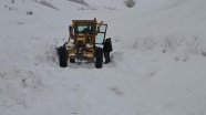 Doğu Anadolu'da 69 köy ve mahalle yolu kapalı