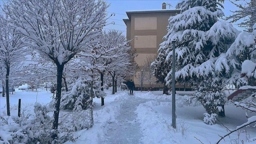 Doğu Anadolu'da kar etkili oluyor