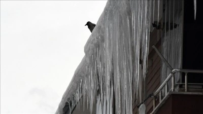 Doğu Anadolu'da kar ile soğuk hava etkili oluyor