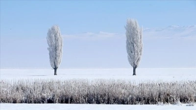 Doğu Anadolu'da kar yerini soğuk havaya bıraktı