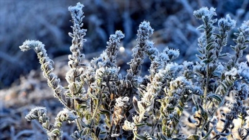 Doğu Anadolu'da soğuk hava etkisini sürdürüyor