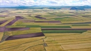 Doğu Anadolu&#039;nun arpa ve buğday tarlaları havadan görüntülendi