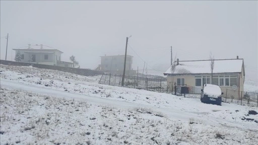 Doğu Karadeniz'in yüksek kesimleri beyaza büründü