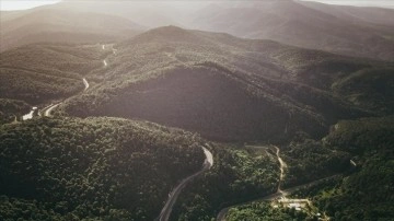 Domaniç Dağları'nın baharla yeşeren ormanları havadan görüntülendi