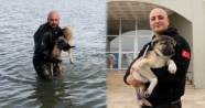 Donan gölde buzları kırarak kurtardığı yavru köpeği sahiplendi