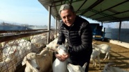 Dondurma yapımı merakı keçi çiftliği sahibi yaptı