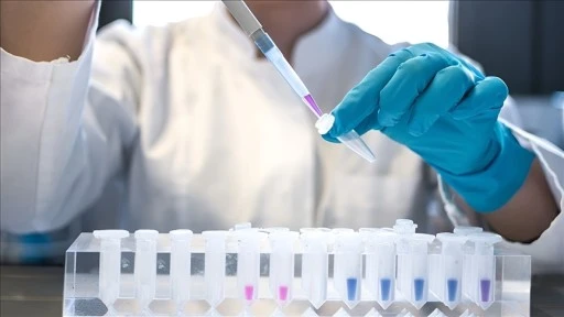 DSÖ, 2024'te 1,3 milyon kişinin AIDS hastalığına yakalandığını bildirdi