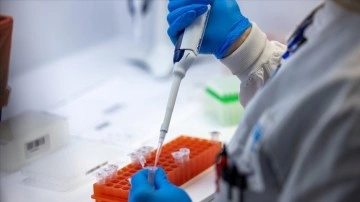 DSÖ, Afrika'da "M çiçeği" vakalarında yaşanan artışa karşı uyardı