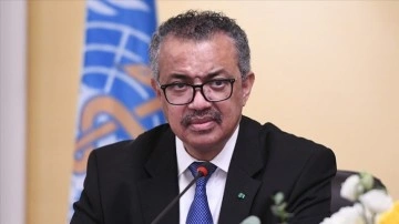 DS&Ouml;: D&uuml;nyada binin &uuml;zerinde maymun &ccedil;i&ccedil;eği vakası var