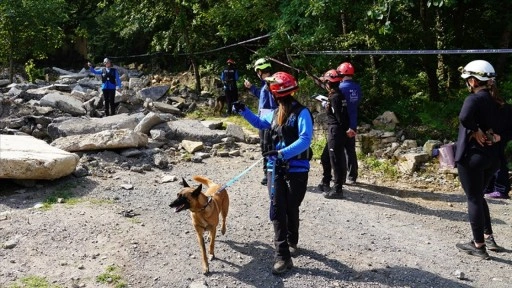 Dünya arama kurtarma köpekleri şampiyonası İstanbul'da yapıldı