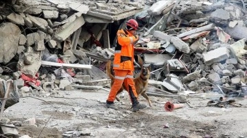 Dünya Tekvando Federasyonu, depremzedeler için 30 bin dolar bağış yaptı