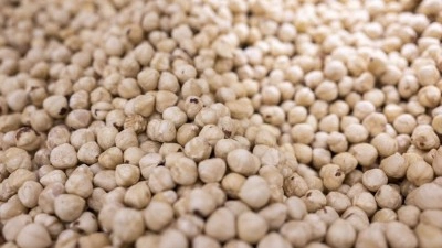 D&uuml;zce'den yılın ilk yarısında AB &uuml;lkelerine 5 bin 981 ton fındık ihracatı