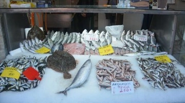 Düzce'de balıkçılar palamut sezonunu kapattı