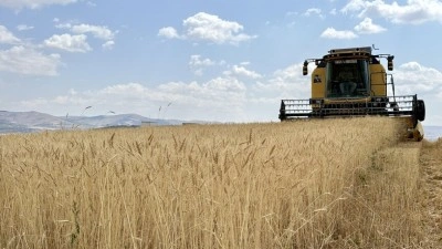D&uuml;zenli yağış ve doğru tohum tercihi bozkırda verimi y&uuml;zde 100 artırdı