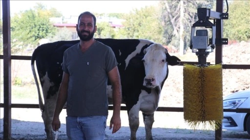 e-Devlet Kapısı'ndan gönderdiği başvuru Adanalı teknisyeni süt çiftliği sahibi yaptı
