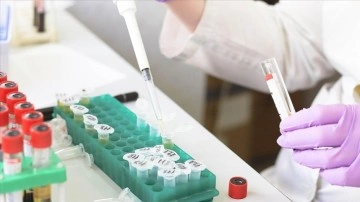 ECDC, AB &uuml;lkelerindeki maymun &ccedil;i&ccedil;eği vaka sayısını d&uuml;zeltti