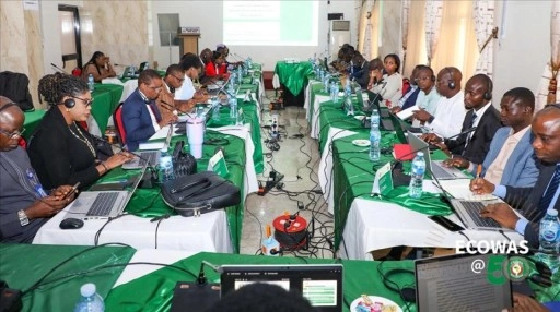 ECOWAS'ın, Nijerya'daki Dijital Gözlemevi yıllık toplantısı başladı