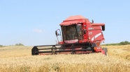 Edirne'de buğday hasadı başladı