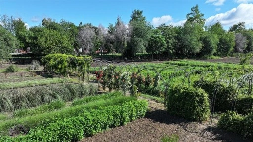 Edirne'de çiçekler ve aromatik bitkilerin yer aldığı 'Koku Tüneli' oluşturuldu