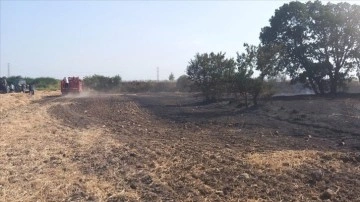 Edirne'de anız alanından ağaçlık bölgeye sıçrayan yangın söndürüldü