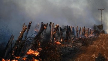 Edirne'de &ccedil;ıkan anız yangını s&ouml;nd&uuml;r&uuml;ld&uuml;