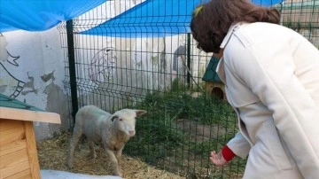 Edirne'de otizmli öğrenciler hayvan sevgisi ve bahçe işleriyle sosyalleşecek