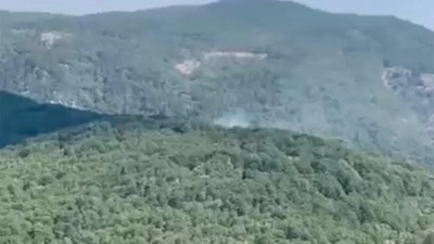 Edremit'te &ccedil;ıkan orman yangını kontrol altına alındı