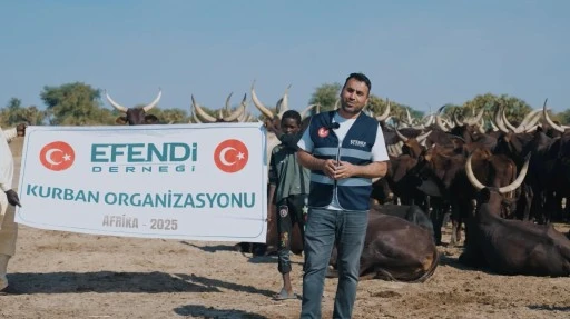 Efendi Derneği ile Kurban Bağışı: Paylaştıkça Artan Bir Bayram Bereketi
