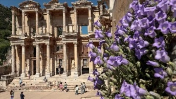 Efes Antik Kenti'nde salgının izi "kruvaziyer" dalgasıyla siliniyor